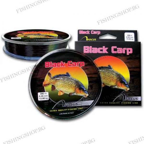 Влакно Focus Black Carp 300м